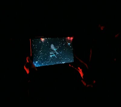 Star gazing experience