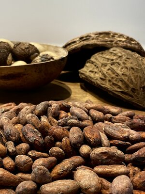 Cacao beans 