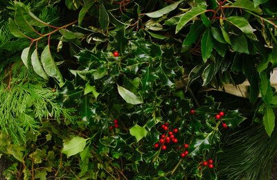 Ivy, branches and other materials ready for wreath making class