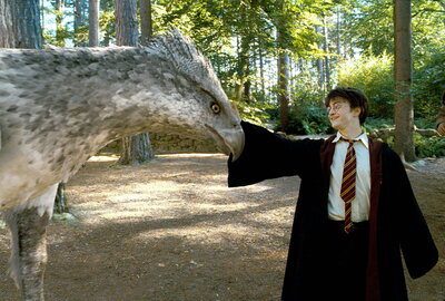 Harry Potter and the Prisoner of Azkaban movie still featuring Harry and Buckbeak 