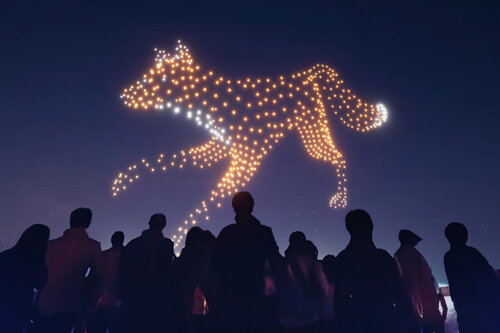 Evolution drone light show turtle