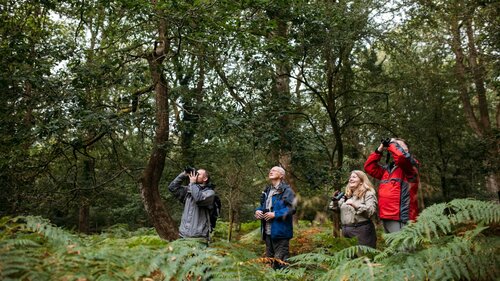 Forest of dean wildlife safari