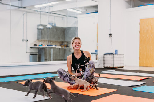 Our experience hosts