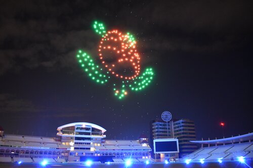 Drone animation of a turtle