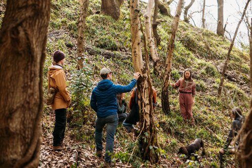 Foraging in the woodland