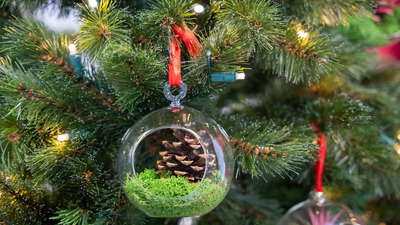 Charming pine cone bauble nestled on a festive tree