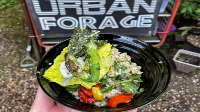 Delicious bowl of urban foraged greens and grains