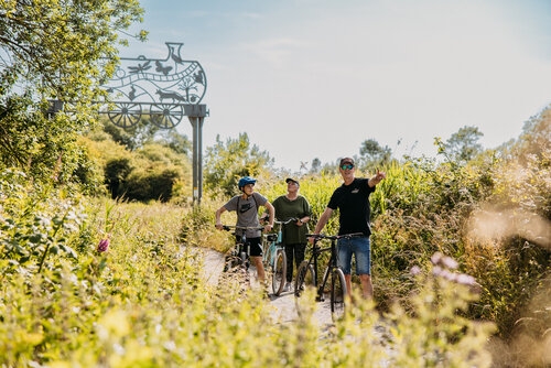family cycle 