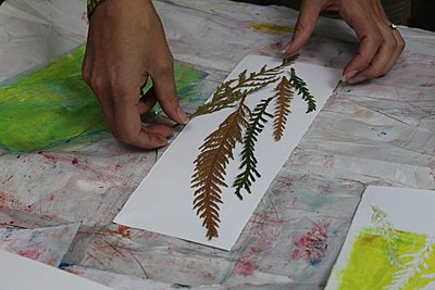 Guest assembles fern cuttings for botanical printmaking