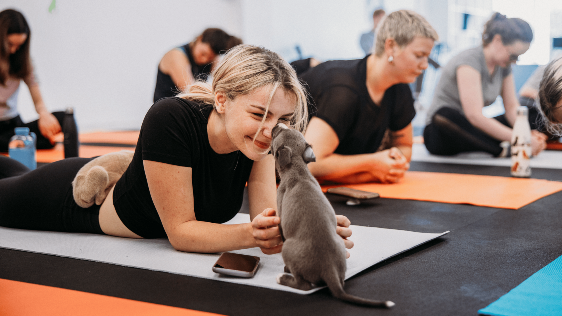 Things to do this Easter