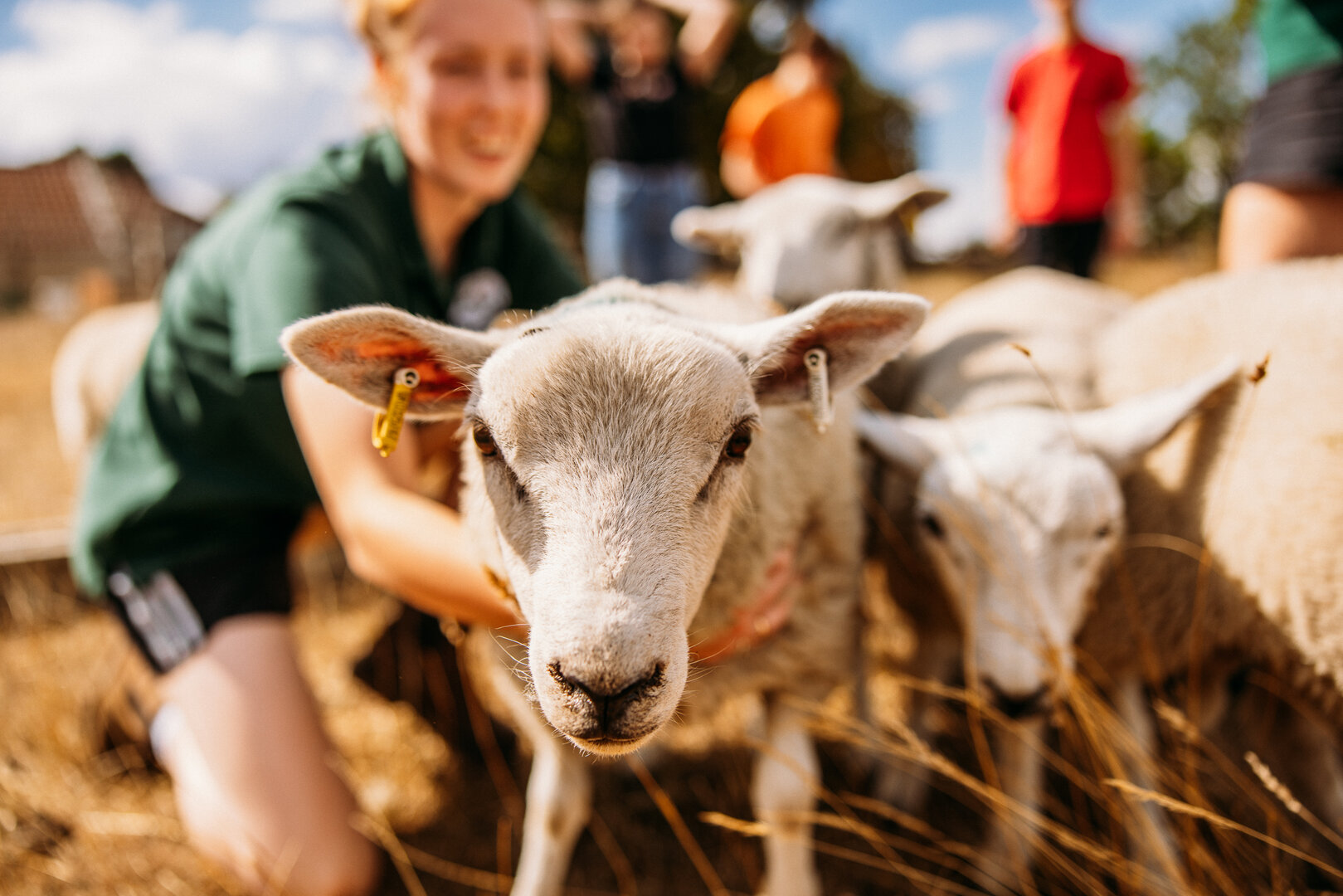 Things to do this Easter