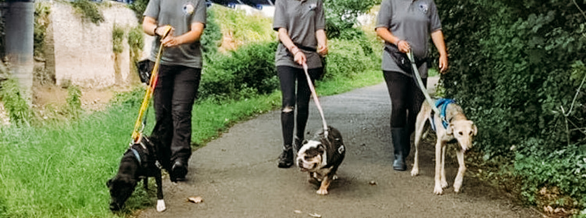 Bristol Animal Rescue Centre experiences Yuup